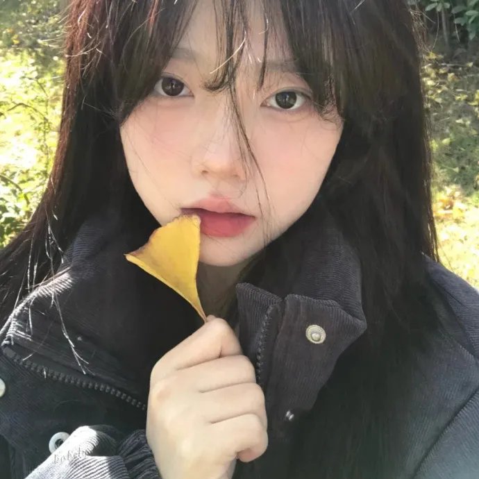 车队
